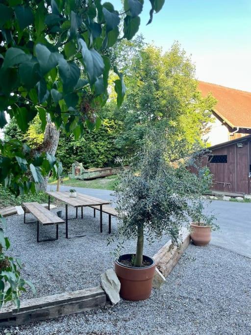 Zauberhafte Ferienscheune Im Hofgut Alte Oelmuehle Engen Dış mekan fotoğraf