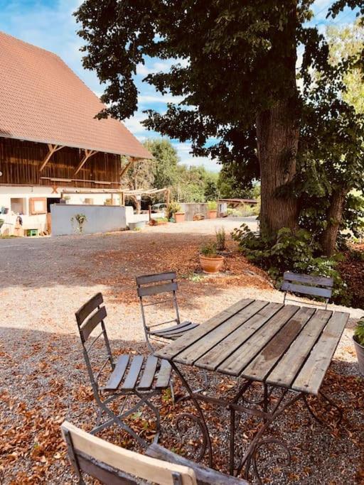 Zauberhafte Ferienscheune Im Hofgut Alte Oelmuehle Engen Dış mekan fotoğraf